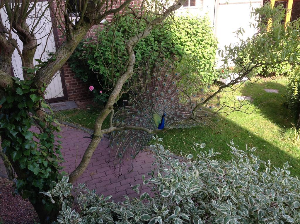 Bed and Breakfast La Cense Des 6 Sens Beugny Exterior foto